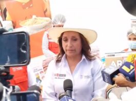 Dina Boluarte desde Arequipa instó al sobrino de Pedro Castillo que no se esconda