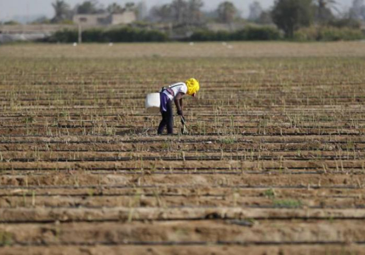 Presidente de Sociedad Agrícola Arequipa: política agraria en Perú es un fracaso