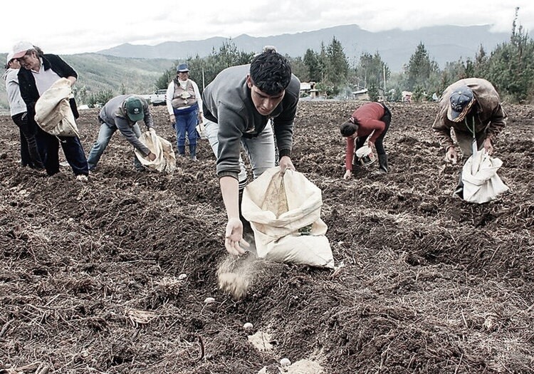Arequipa: crisis agraria se agudiza, ¿qué factores no permiten frenar esta problemática?