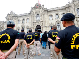 Pedro Castillo: Licenciados de las Fuerzas Armadas anuncian nueva marcha en respaldo