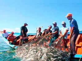 Pescadores Arequipa