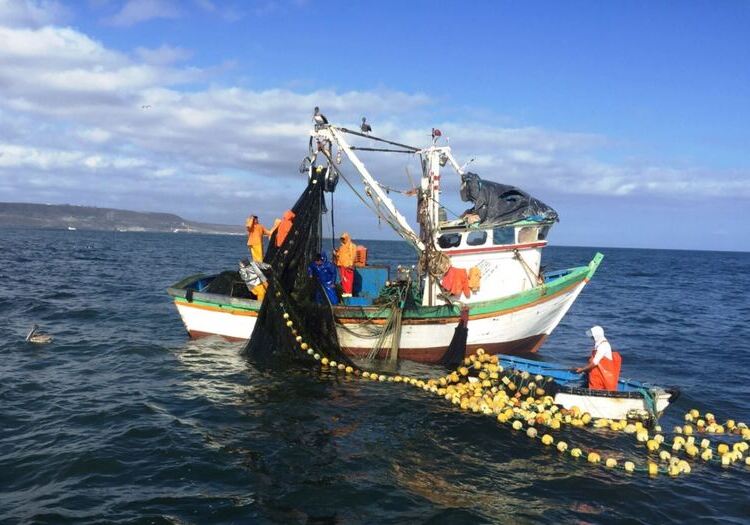 Arequipa: proyecto para captar agua de humedad costera favorecerá a pescadores en alta mar