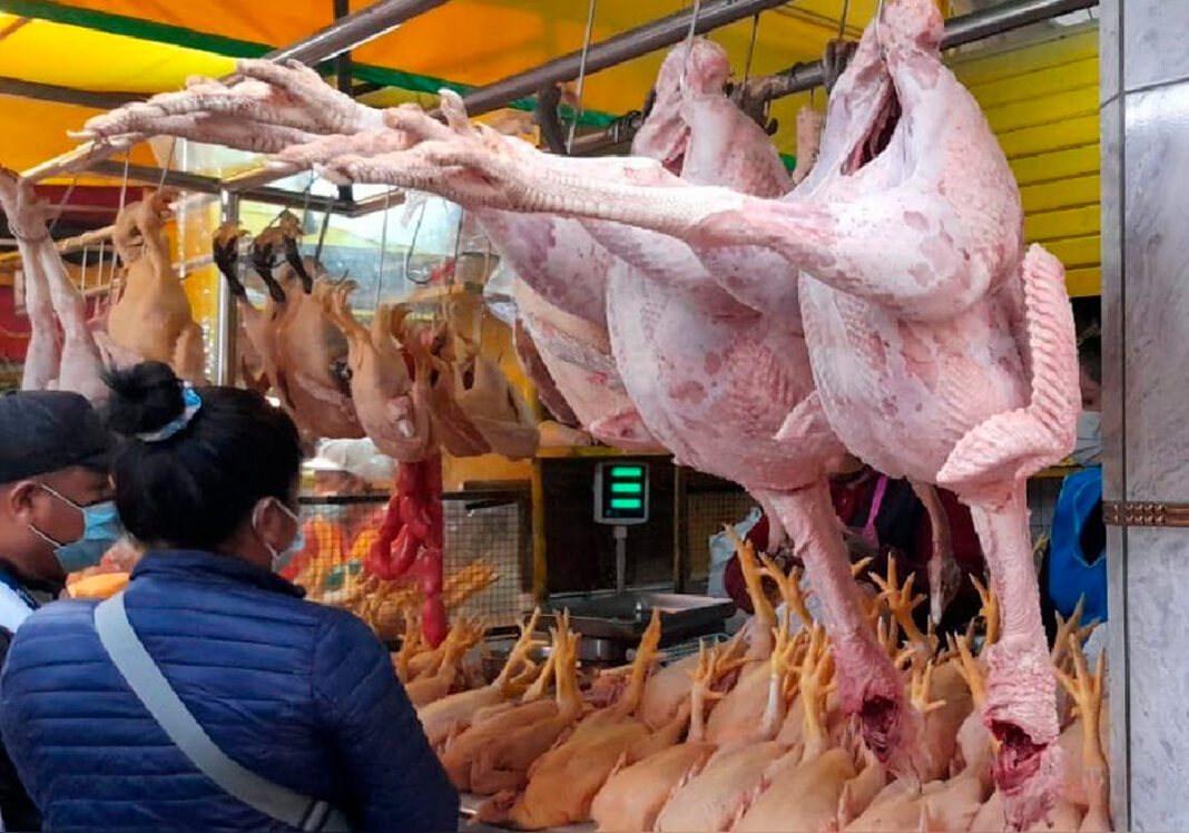 precio pavo pavipollo pollo arequipa mercados navidad