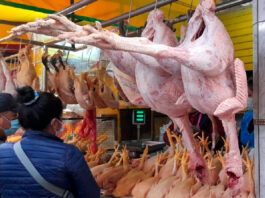 precio pavo pavipollo pollo arequipa mercados navidad