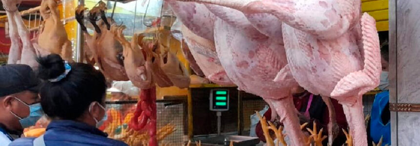 precio pavo pavipollo pollo arequipa mercados navidad