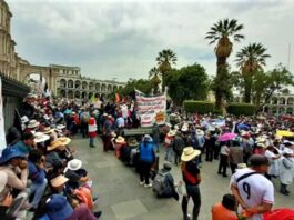 Arequipa: asociaciones, transporte participarán en jornada de protestas contra Dina Boluarte este martes 31 (VIDEO)
