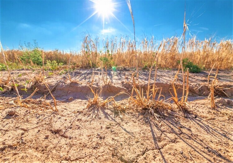 Arequipa: ¿existe el riesgo de sequía en la región y que consecuencias provocaría?