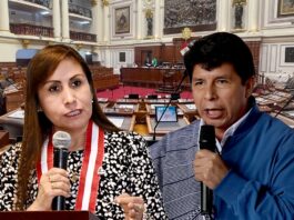 Pedro Castillo: Congreso aprueba denuncia constitucional de Patricia Benavides