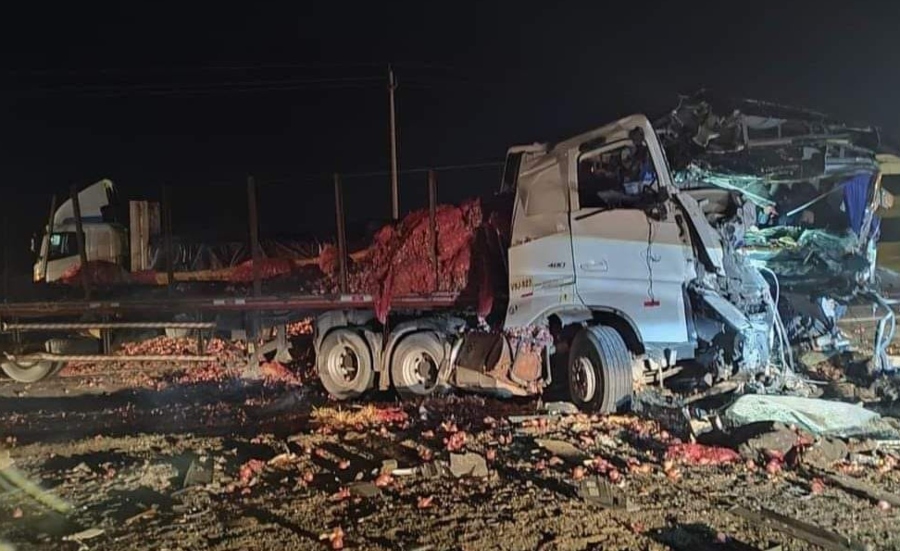 Arequipa: bus de Rey Latino choca contra un trailer y deja seis fallecidos en la Panamericana Sur