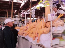Arequipa: principales productos avícolas suben de precio en los mercados
