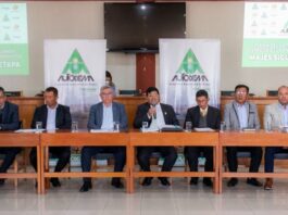 Arequipa: Autodema evalúa plantear auditoría contra empresa COBRA