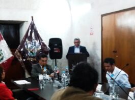 Gerente general en el Consejo Regional de Arequipa