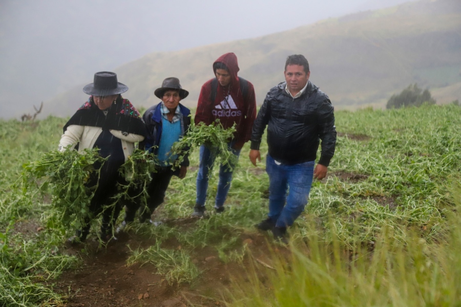 Agricultores se han visto afectados por las fuertes lluvias que dañaron sus cultivos, en Ayacucho. Fuente: La Jornada