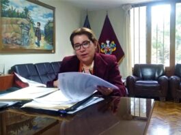 Gerenta regional de Trabajo de Arequipa, Catherine Rodríguez, indicó que buscará diálogo con el sindicato de la institución (foto: Jean Carlo Frisancho - El Búho).