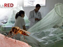 red-medios-regionales-peru-epidemia-dengue-peru