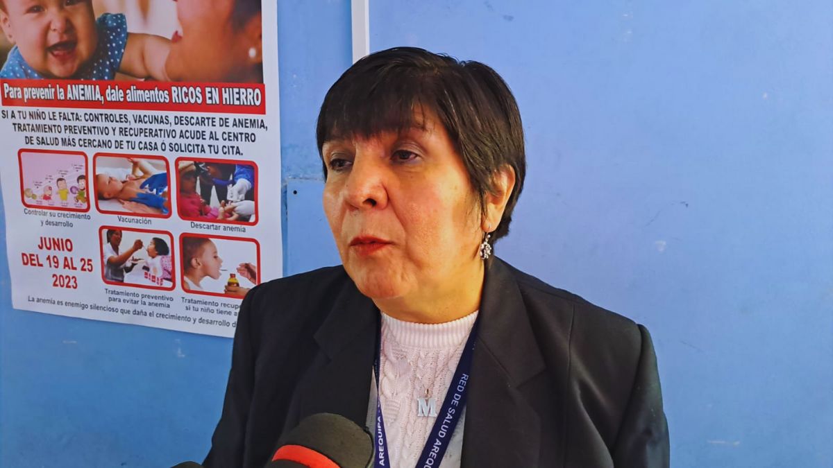 Lucia Bedoya Zegarra, coordinadora de la etapa de vida niño y niña de la Red de Salud Arequipa – Caylloma