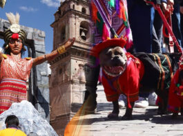 cusco pasacalle universidad de arte Diego Quispe Tito alegorías canino mascotas desfile inti raymi jubilar