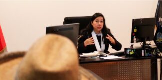 Arequipa: audiencia de violencia familiar