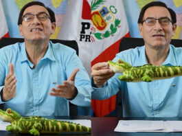 Martín Vizcarra presidente lagarto viral mascota Perú Primero críticas