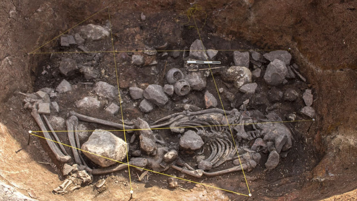 tumba cajamarca sacerdote 3000 años pacopampa arqueólogos 