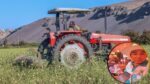 Arequipa, sequía, agricultura