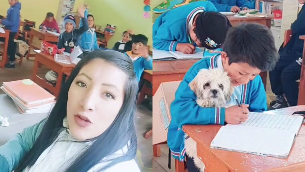 profesora huánuco mascota estudiante tiktok viral docente empatía perrito