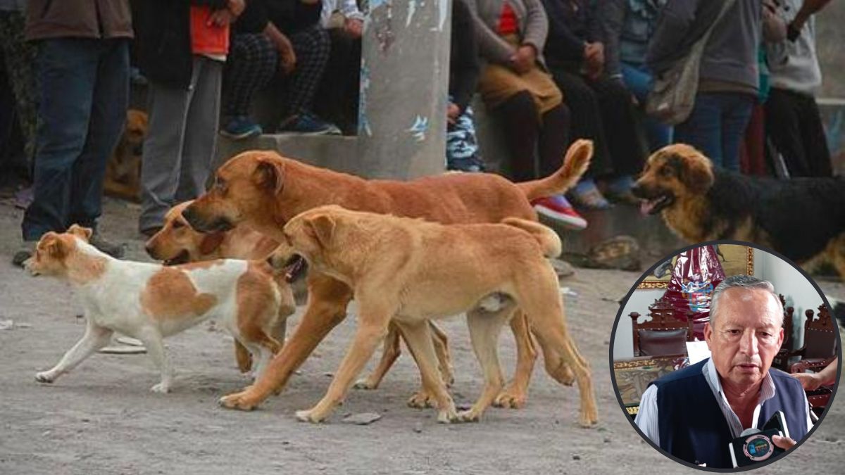  La demora en la acción de las autoridades ante la rabia canina en Arequipa cobra un alto precio. ¡La responsabilidad y la inmunización son esenciales para proteger a la comunidad y a las mascotas!