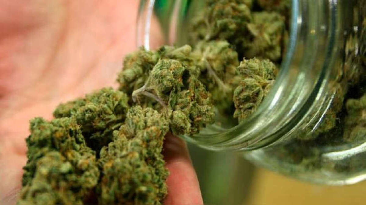 Arequipa, PNP Antidrogas, marihuana desaparecida