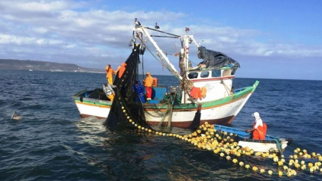 Arequipa: GRA destinará S/ 88 millones y bonos a sector pesquero para reducir impacto de Niño Costero en 2024