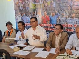 Confederación de Minería Artesanal: "El único culpable del atraso de la formalización es el gobierno"