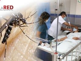 red-medios-regionales-del-peru-emergencia-dengue-peru