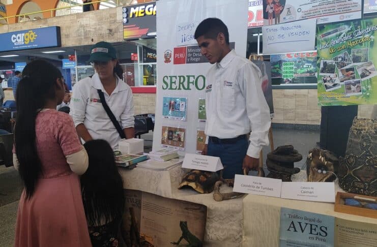 Arequipa: Serfor junto a Terminal Terrestre evitan tráfico de animales silvestres traídos de Puerto Maldonado