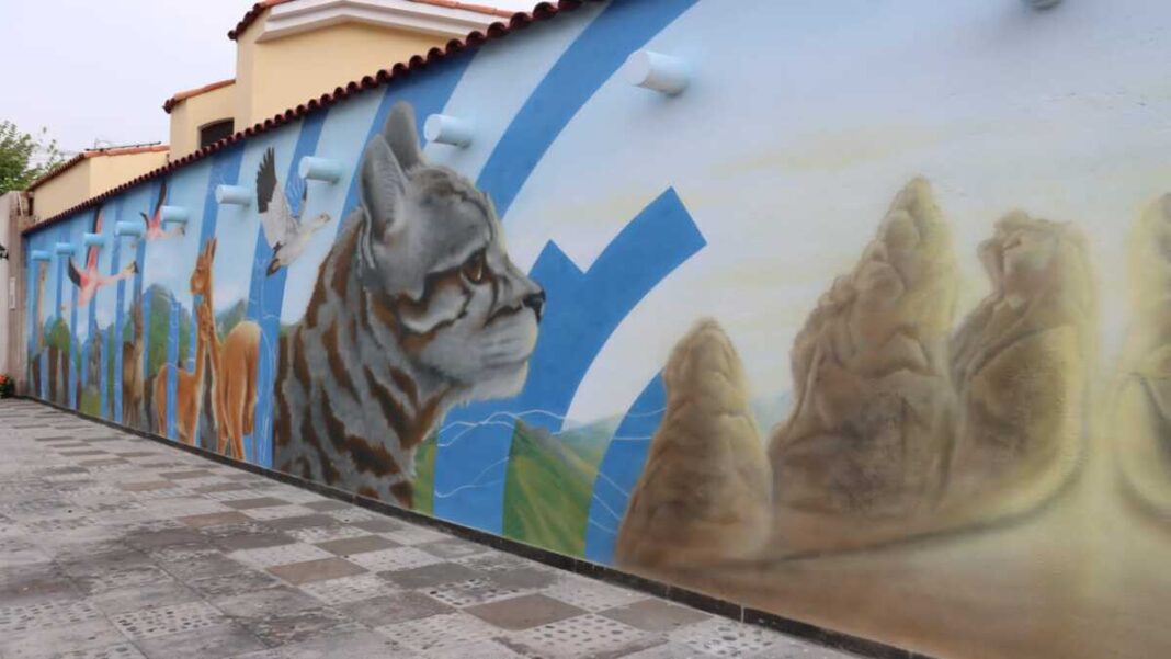 En Yanahuara se encuentra el mural “Homenaje a la Pachamama, nuestro hogar”, en la que se representa la fauna silvestre en extinción de Arequipa
