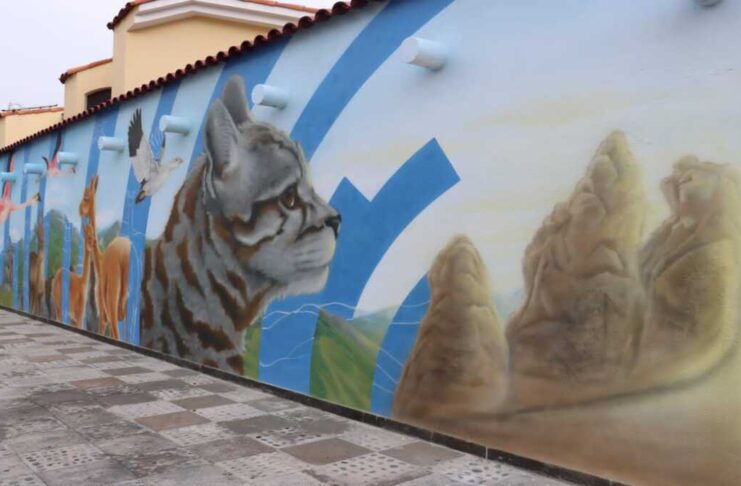 En Yanahuara se encuentra el mural “Homenaje a la Pachamama, nuestro hogar”, en la que se representa la fauna silvestre en extinción de Arequipa