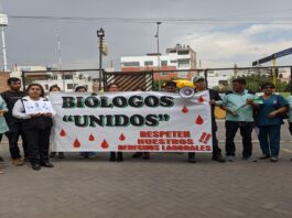 Pronahebas malinterpreta la norma e induce el despido de biólogos en clínicas de Arequipa