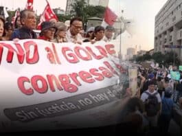 Ciudadanos salieron a protestar en rechazo al Congreso por la ley antiforestal a nivel nacional (VIDEO)