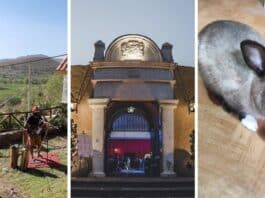Semana Santa 2024: Arequipa ofrece campamentos, búsqueda de huevos de Pascua, ferias y más por menos de 20 soles este feriado largo