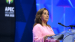 Arequipa, Dina Boluarte, APEC 2024
