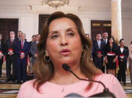 Dina Boluarte es defendida contra viento y marea por congresistas, ministros y medios: "son culpa de los caviares" (VIDEO)