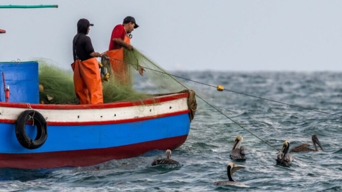 Pesquería Perú