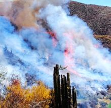 Incendios forestales, Arequipa