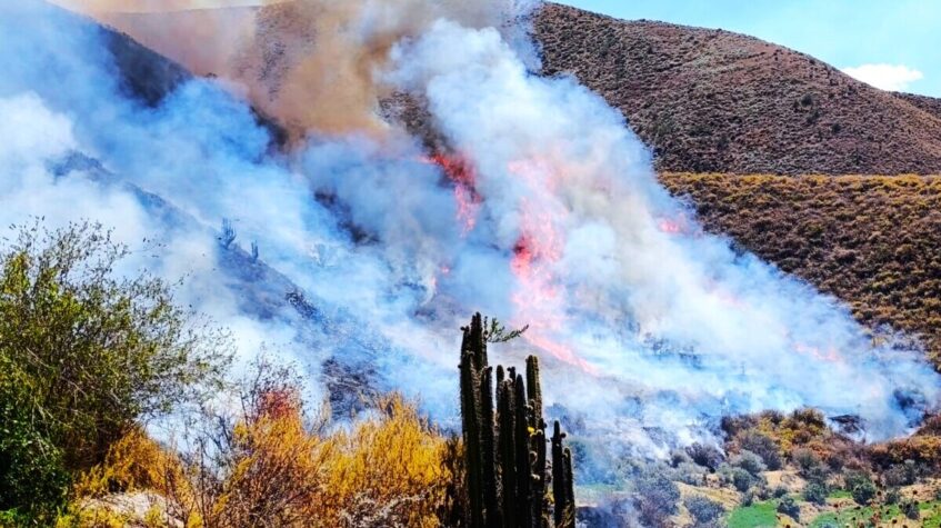 Incendios forestales, Arequipa