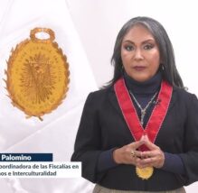 ley amnistia