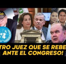 ¡OTRO JUEZ SE REBELA! | Otro juez le dice NO al Congreso y Dina y decide no aplicar ley de Amnistía (VIDEO)