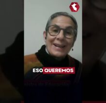 Ordenanza sobre ESI no busca quitar patria potestad ni suplantar a los padres, señala exministra (VIDEO)