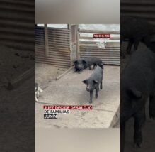 Junín: Juez favorece a minera Chinalco y confirman desalojo de últimas familias de Morococha antigua (VIDEO)