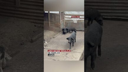 Junín: Juez favorece a minera Chinalco y confirman desalojo de últimas familias de Morococha antigua (VIDEO)