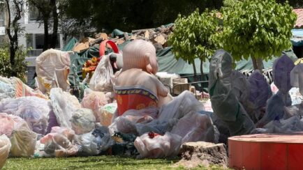 ceden parque selva alegre para feria particular en arequipa 2025