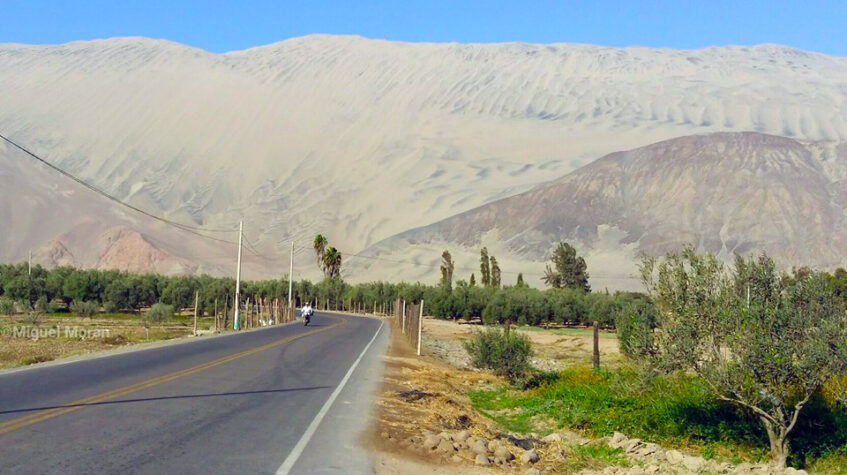 Arequipa
