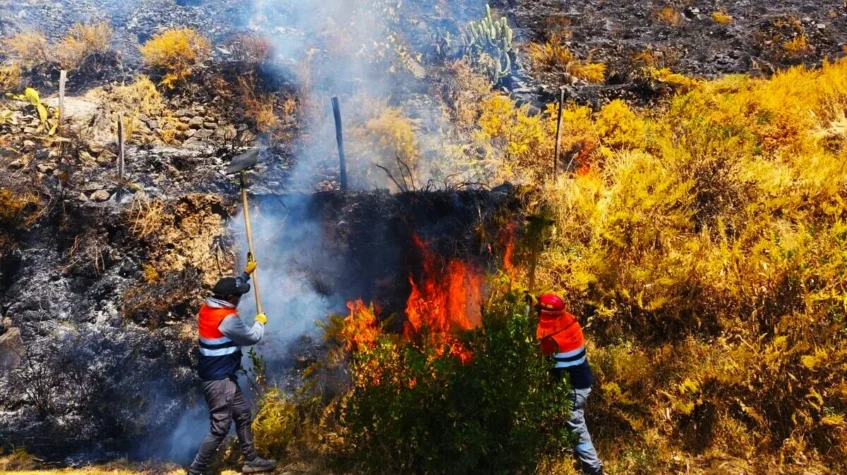 Incendio forestal en Arequipa